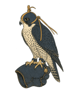Hooded falcon on gauntlet — the trained, supervised agent