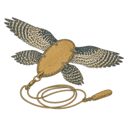 Falconer's lure — the simulated prey